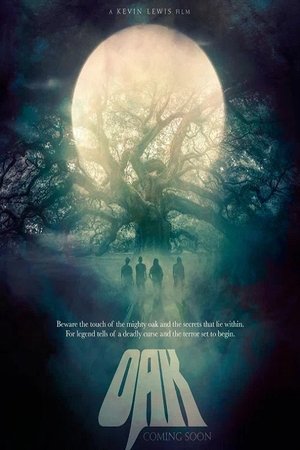 Never Any Blue (2025) Hindi (MULTI AUDIO) – –