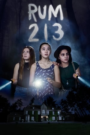 Rum 213 2017 Hindi Dual Audio [800MB]